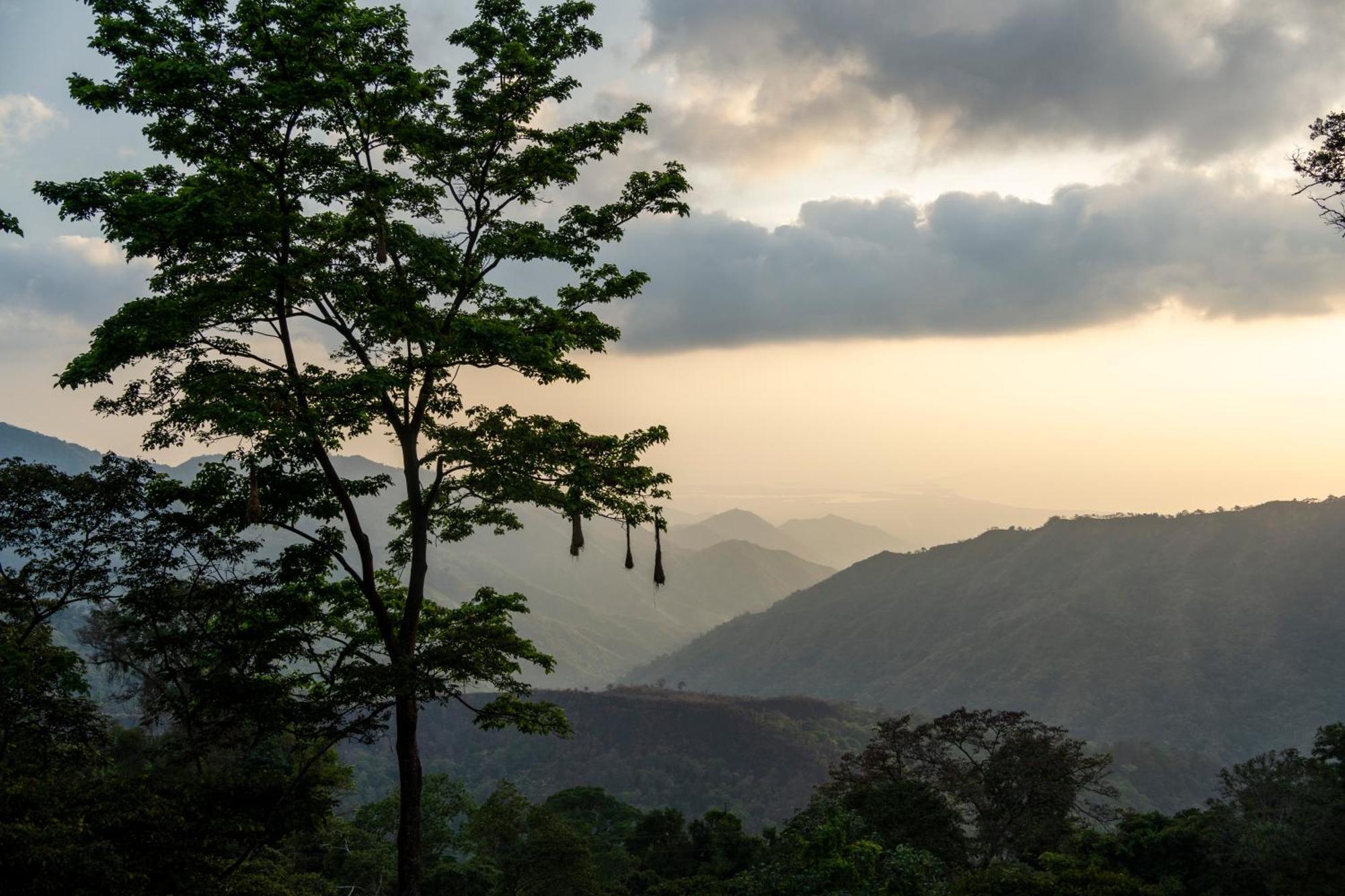 Mano Verde مينسا المظهر الخارجي الصورة