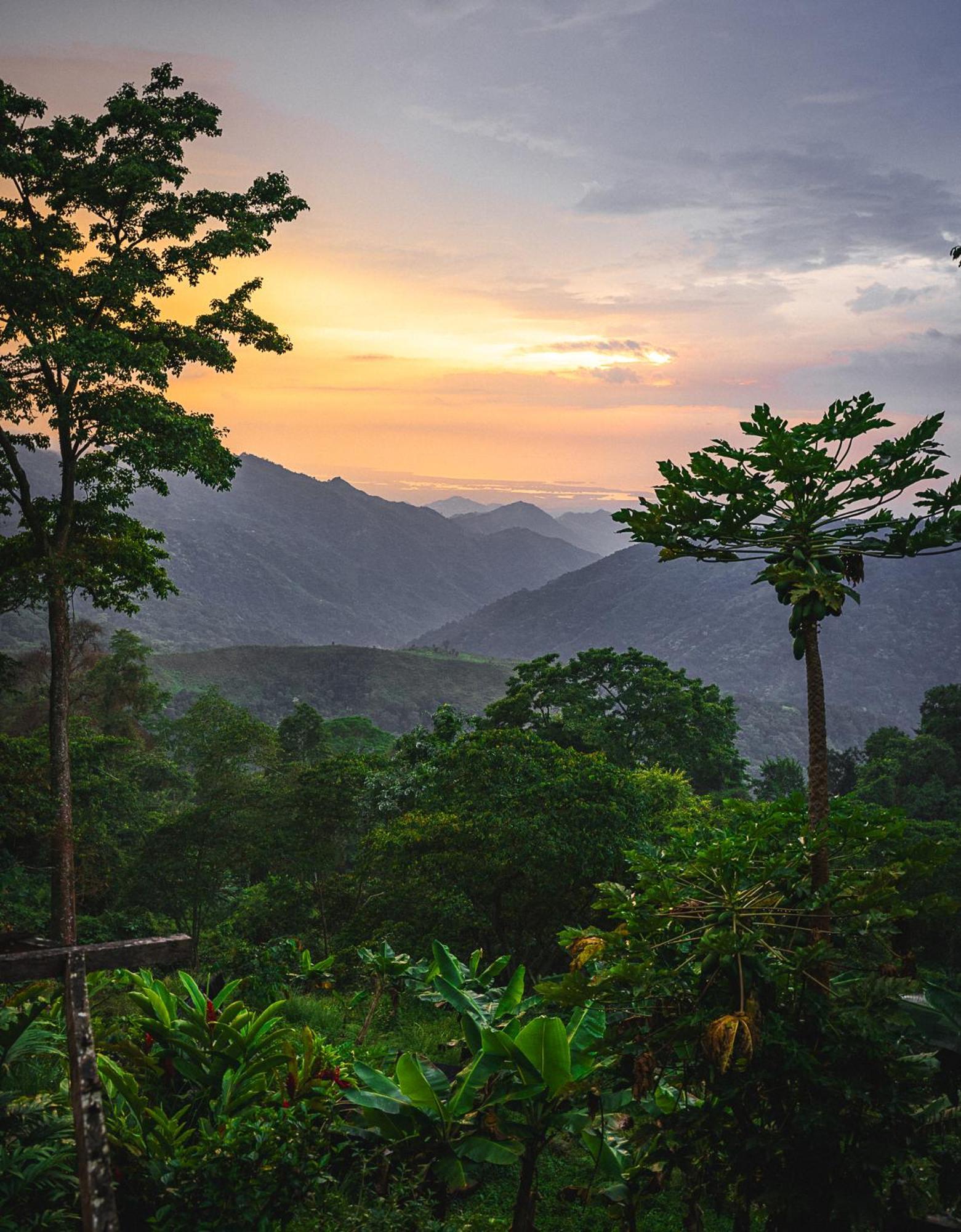 Mano Verde مينسا المظهر الخارجي الصورة